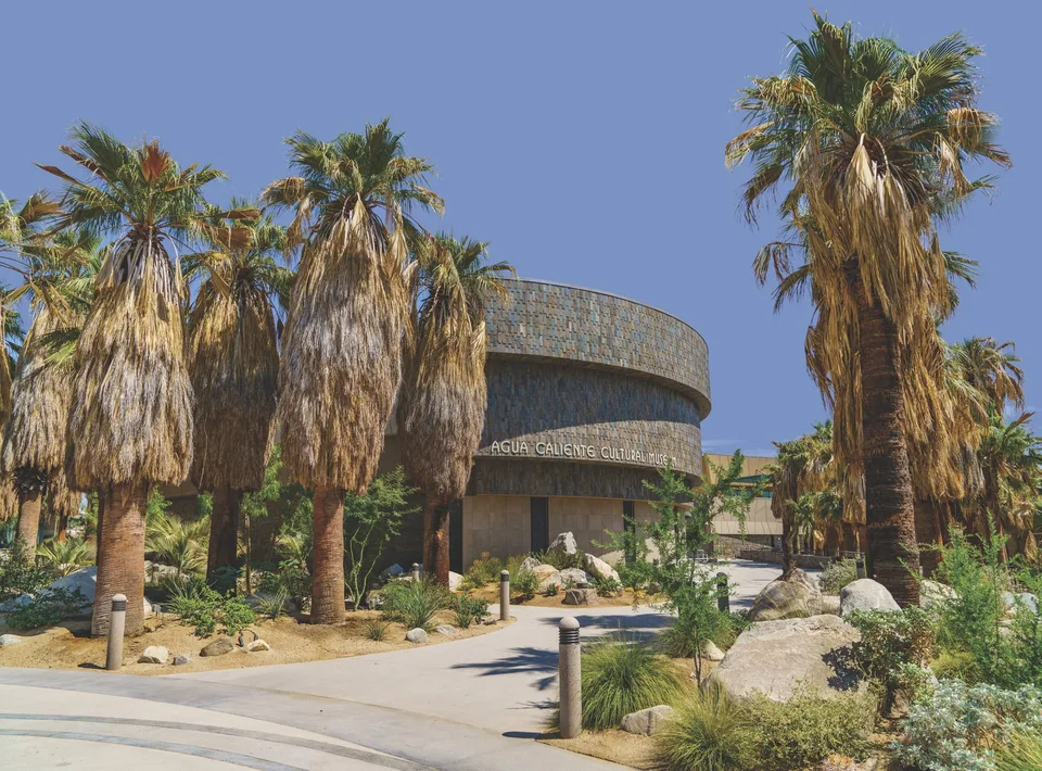 The curving Agua Caliente Cultural Museum exterior framed by desert palms and native landscaping.